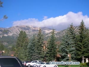 Scenic Road Trip Rest Area