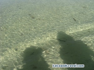Beautiful Horseshoe Beach Bermuda