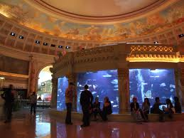 Caesar's Palace Forum Aquarium Caesar's Palace Forum Aquarium