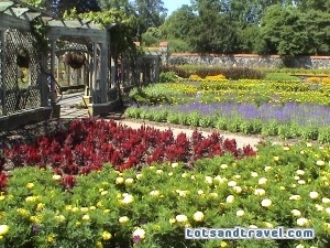 Biltmore Estates Botanical Gardens