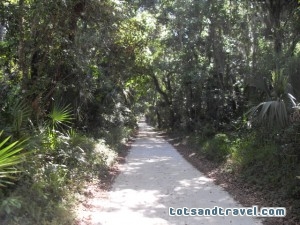 Old Beach Road Bulow Plantation Entrance Old Beach Road Bulow Plantation Entrance