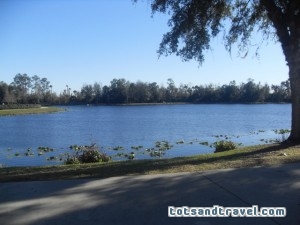Disney's Celebration Villages around a Lake Disney's Celebration Villages around a Lake