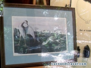John James Audubon Painting John James Audubon Painting