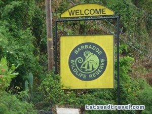 Barbados Wildlife Reserve Welcome Sign