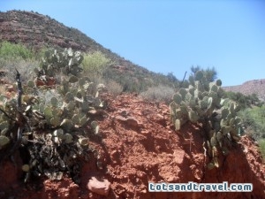 Verde Canyon Arizona