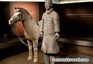 National Geographic Museum Terra Cotta Warriors Exhibit