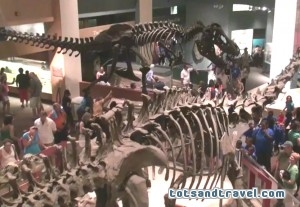 National Museum of Natural History
