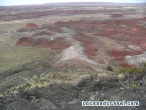 Petrified Forest National Park Colors