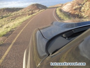 Petrified Forest National Park Scenic Loop