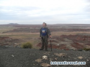Petrified Forest Scenic Overlooks
